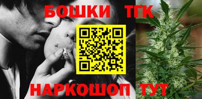крисы Кулебаки