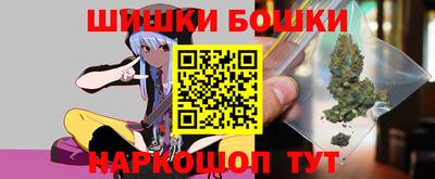 крисы Кулебаки
