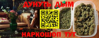крисы Кулебаки
