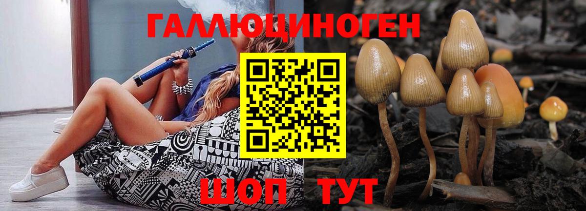 Избербаш  Галлюциногенные грибы Psilocybine cubensis  Вход с VPN 